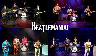 Beatlemania: The cast of Magic of the Beatles