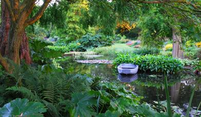 Beth Chatto garden lake with wooden rowing boat surrounded by flowers