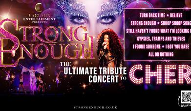 Strong Enough: The Ultimate Cher Tribute
