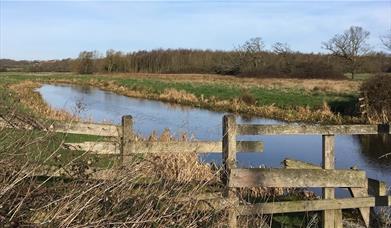 Cymbeline Meadows