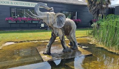 Poplar Nurseries elephant water feature.