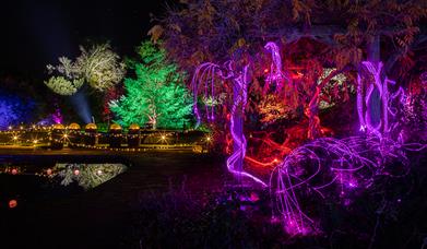 Trees and parkland lit up in greens, reds and pinks