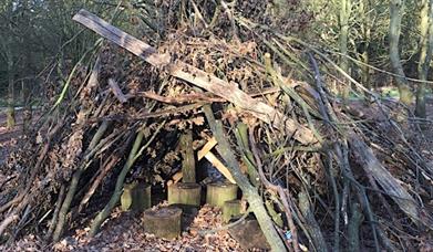 Image shows Stoneage style den made out of sticks.