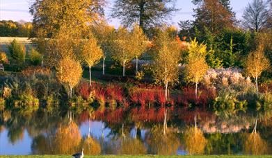 Markshall autumn colours reflecting on the lake