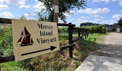 Mersea Island Vineyard