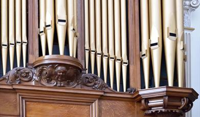 Image shows pipes of the moot hall organ.