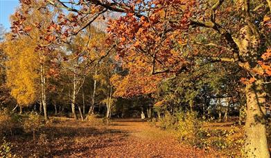 Tiptree Heath
