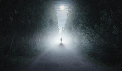 Trail of Terror - a lone figure on a foggy, tree-lined path