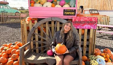 Foxes Farm Produce Pumpkin Patch