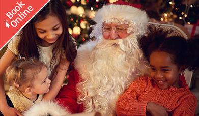 Father Christmas sitting down by a christmas tree with 3 children