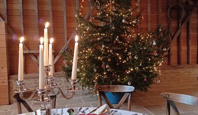 The Tailor of Gloucester with Christmas Dinner