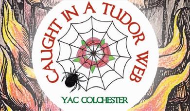 Caught in a Tudor Web Text